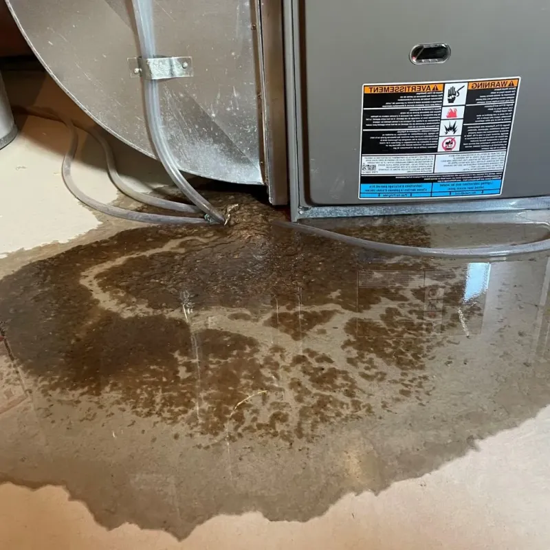Pipe Burst and Leak Restoration in Kearney County, NE