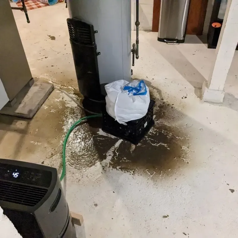 Sewage Backup Cleanup Service in Kearney County, NE